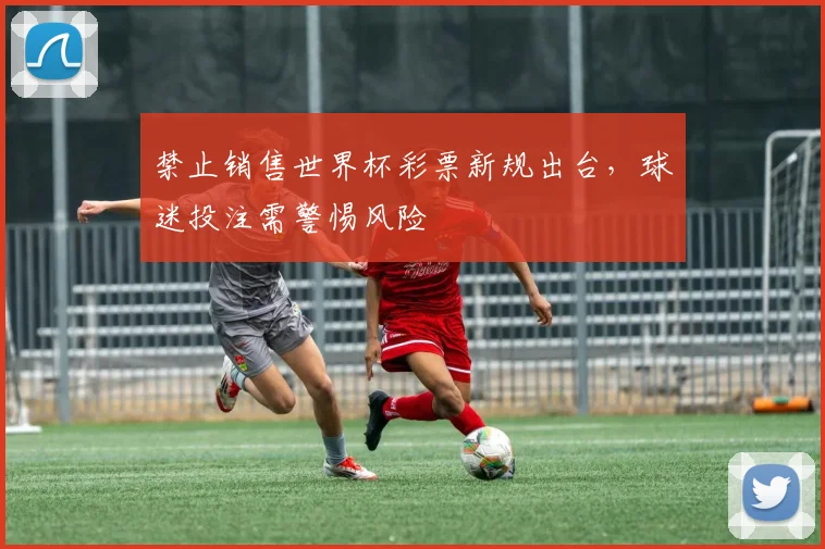 禁止销售世界杯彩票新规出台，球迷投注需警惕风险