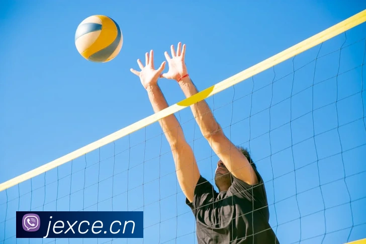 星空官方网站入口平台生态图